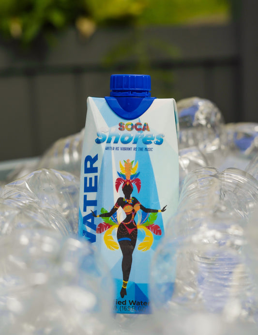 The Dangers of Microplastics in Everyday Drinking Water