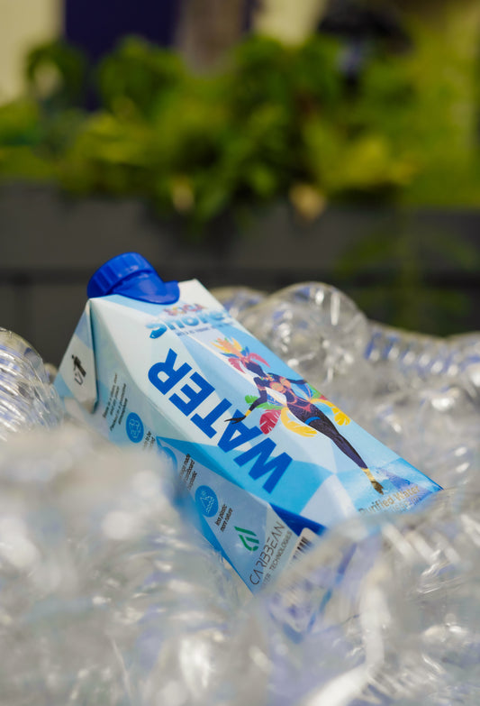 How Microplastics Are Impacting Your Body More Than You Think